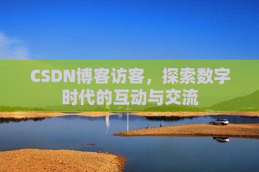 CSDN博客访客，探索数字时代的互动与交流