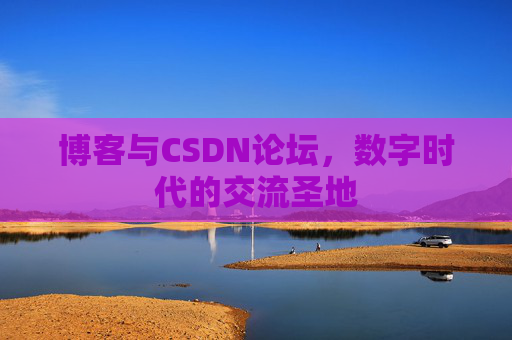 博客与CSDN论坛，数字时代的交流圣地
